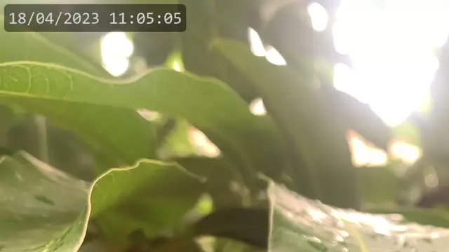 Youtube live video test restream on 18-Apr-23-14:04:56