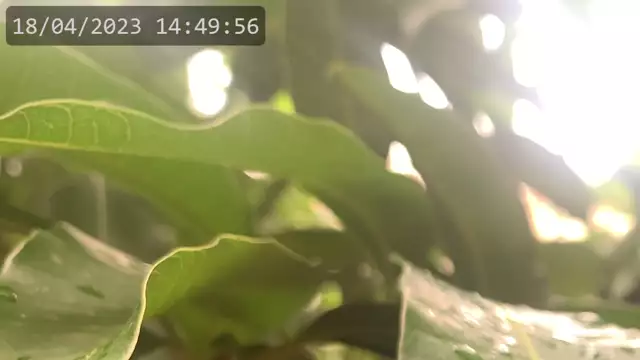 Youtube live video test restream on 18-Apr-23-17:49:05