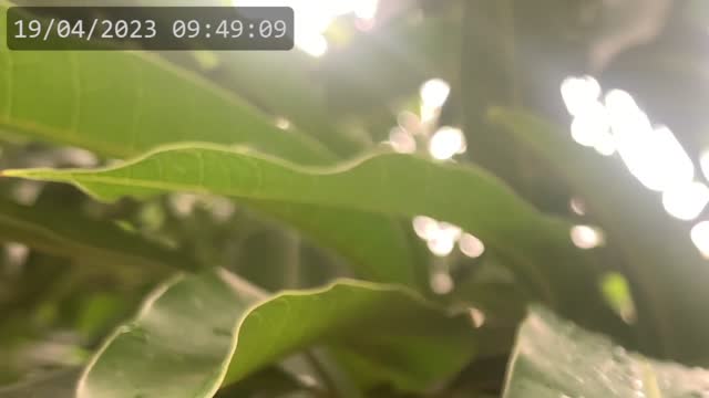 Youtube live video test restream on 19-Apr-23-12:48:53